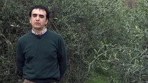 Campania - Intervista a Pasquale Volpe - il mio lavoro (18.06.13)