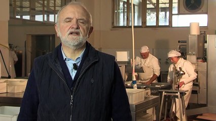 Campania - Intervista a Achille De Luca - il mio lavoro (18.06.13)