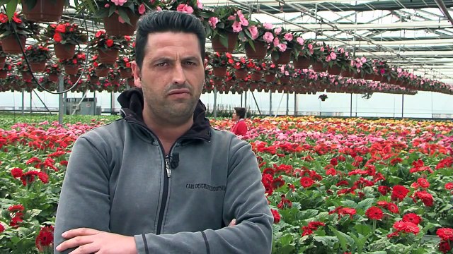 Campania - Intervista a Francesco Iacomino - il mio lavoro (18.06.13)