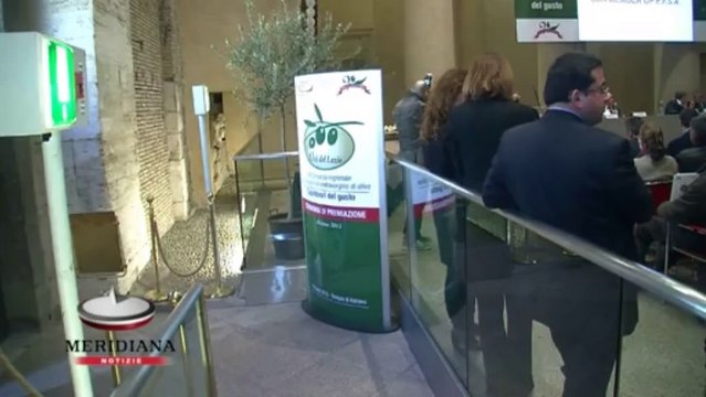 XX edizione Orii del lazio , aumentano i partecipanti al concorso e la qualità dell' olio d'oliva
