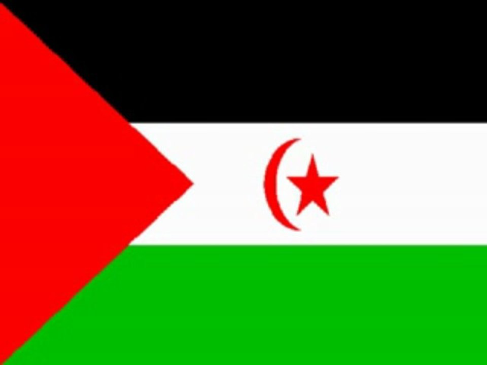 Flagge der algerischen separatistischen Partei, Frente Polisario, Afrika’s letzte Verleumdung