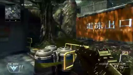 Black Ops 2 GOLD Skorpion Camo Gameplay - How to get Gold Skorpion Evo Camo