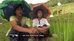 Philippines, les rizières en terrasses de Batad