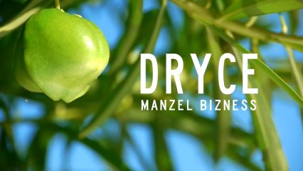 Dryce - Manzel bizness