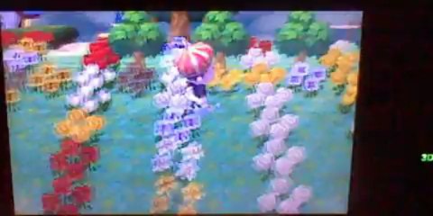 3dsとび森パート1