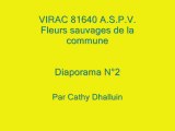 Virac 81640 A.S.P.V. fleurs sauvages diaporama N° 2/2013