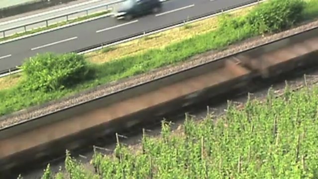 Züge und Schiffe beim Bopparder Hamm, ATC 185, SBB Cargo Re482, 152, 2x 143, 460