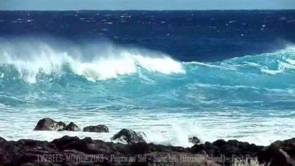 Thousand foam‘s horses... of Indian Ocean (Reunion Island)