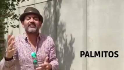 CORBACHO 3G - Santa Cruz de La Palma, 21 de junio de 2013