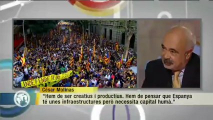 TV3 - Els matins - Molinas: "El tren d'alta velocitat a Espanya no té sentit"