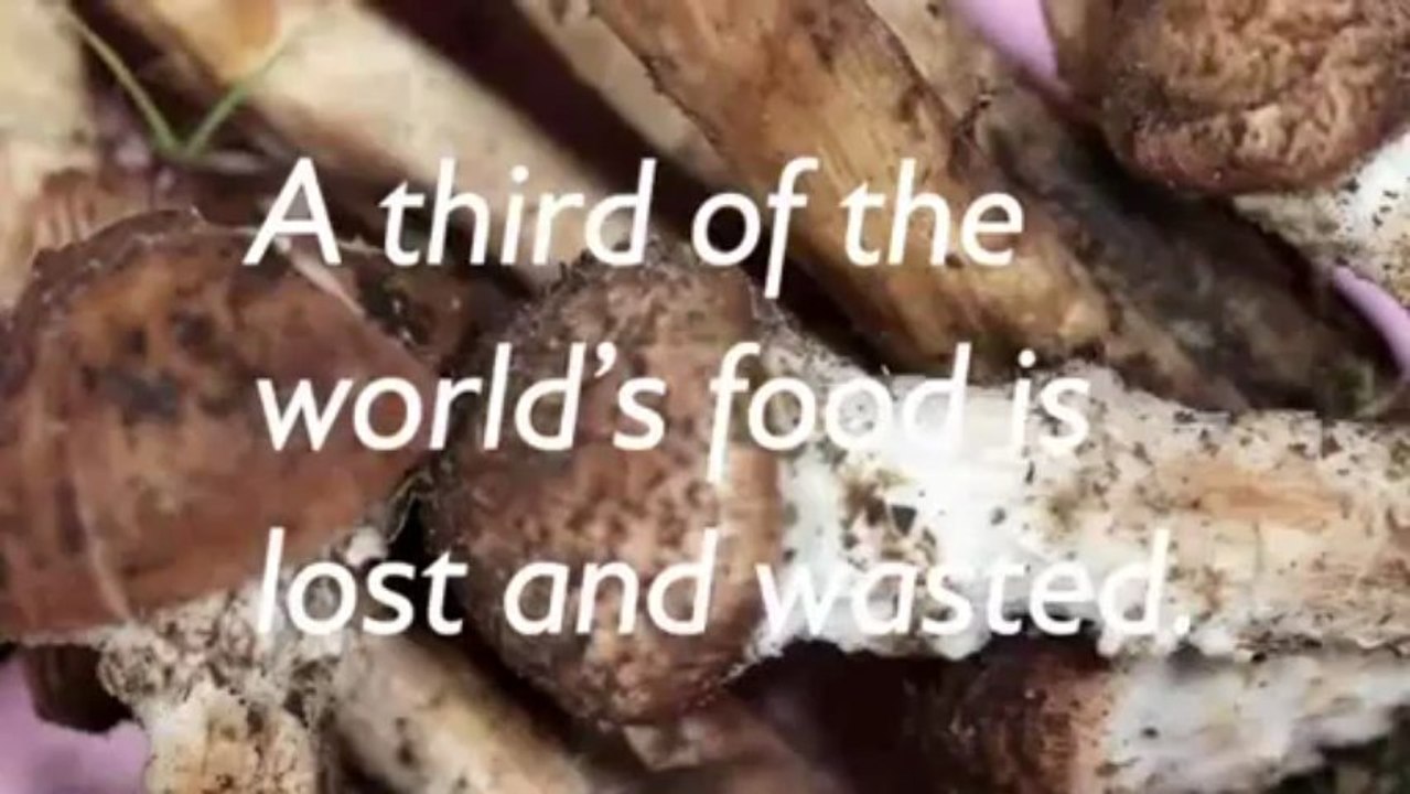 5th of June was The World Environment Day - Growth Green Agriculture GGAgriculture