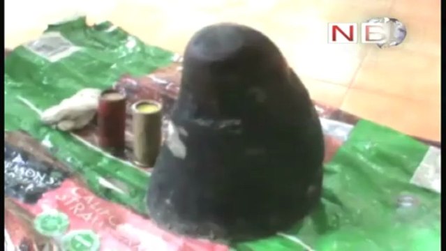 Rhino horn worth Rs 60 lakhs seized