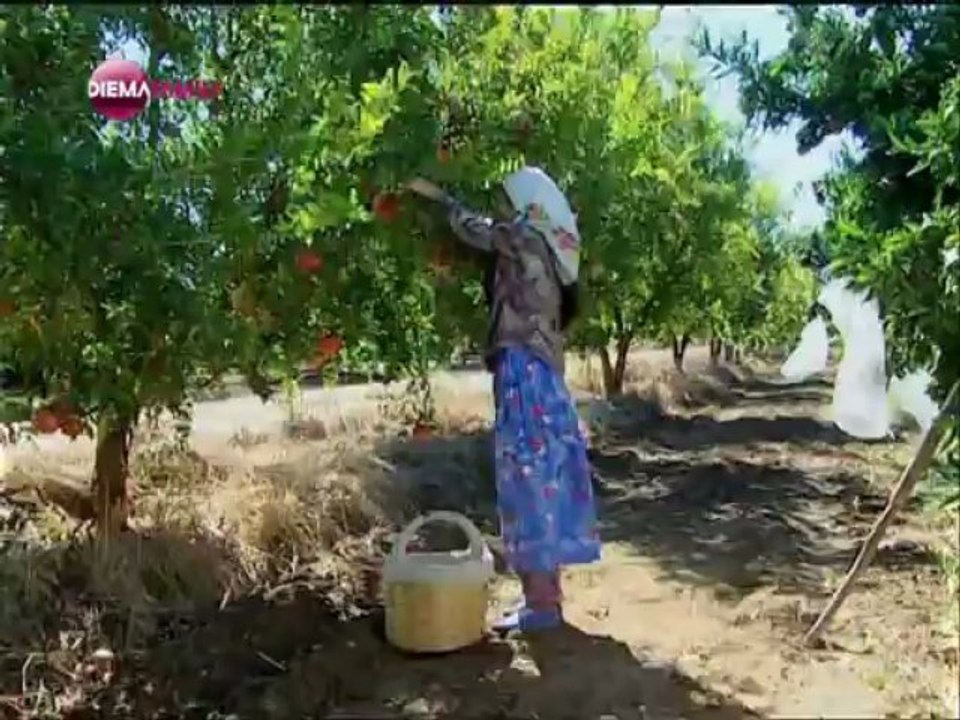 Памуковата принцеса еп.11,цял - Бг.аудио