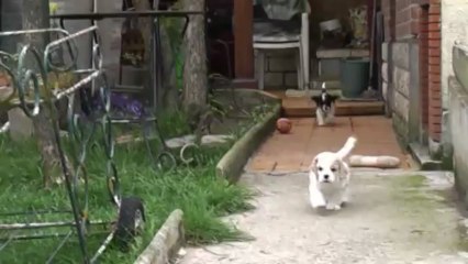 vive le jardin........2