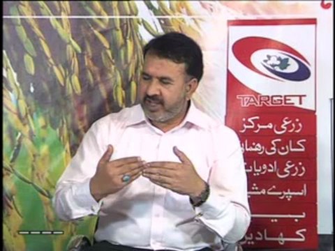 Zari Pandal with Saghir Ramay on Prosperity Through Agriculture and Livestock Part 01