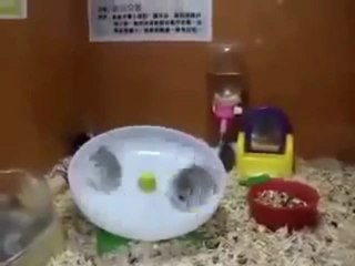 yo ya imaginaba que competir no es muy sano