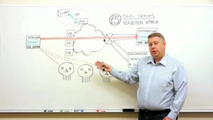 DNS Denial of Service Reflection Attack