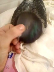 Piew tu me manques bcp