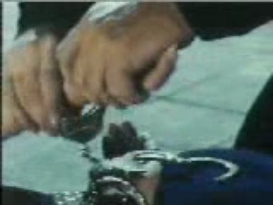 NEED NAME ALG UNK a WH - Vido1 - Your Best Videos