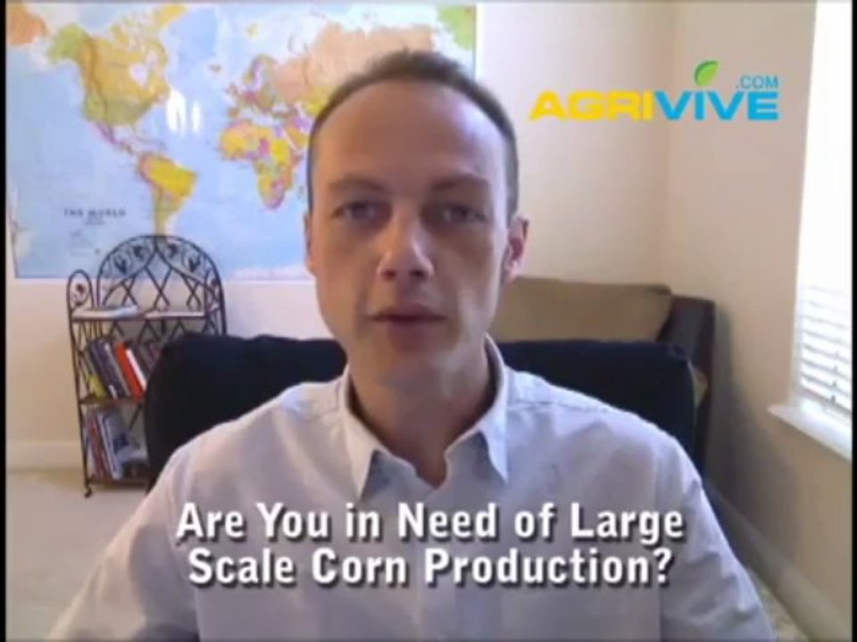 Buy Bulk Corn, Maize, Corn Ethanol, Corn Ethanol Production, Ethanol from Corn, Ethanol Corn