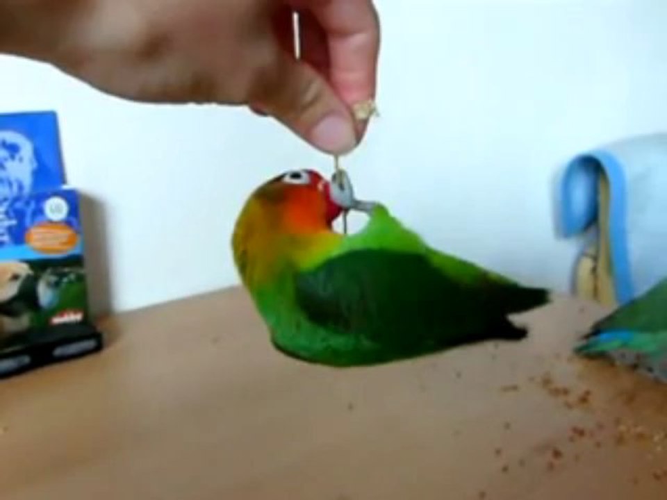 썬시티카지노 〓〓▥◈▶ BET78．ＲＯ．ＴＯ◀◈▥〓〓 에이플러스카지노