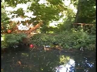 Abbaye de Cysoing XIII éme Siècle