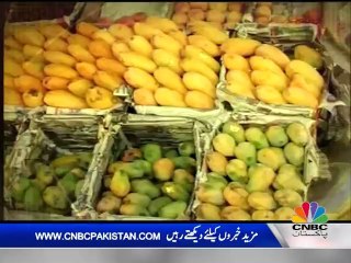 NAWAB SHAH MANGO REPORT NEWS DISC EDIT BY AMIN AFRIDI