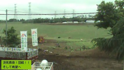 2013-06-14 07-23-朝の牧場　ガガちゃんが遠くに