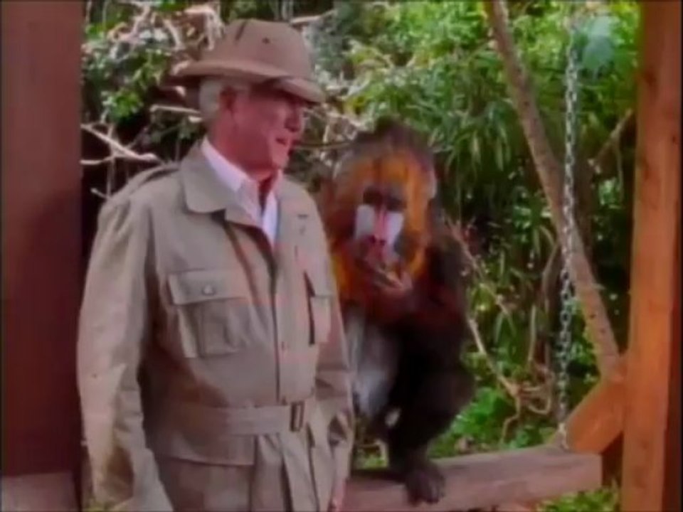 Mr. Magoo - (Trailer)