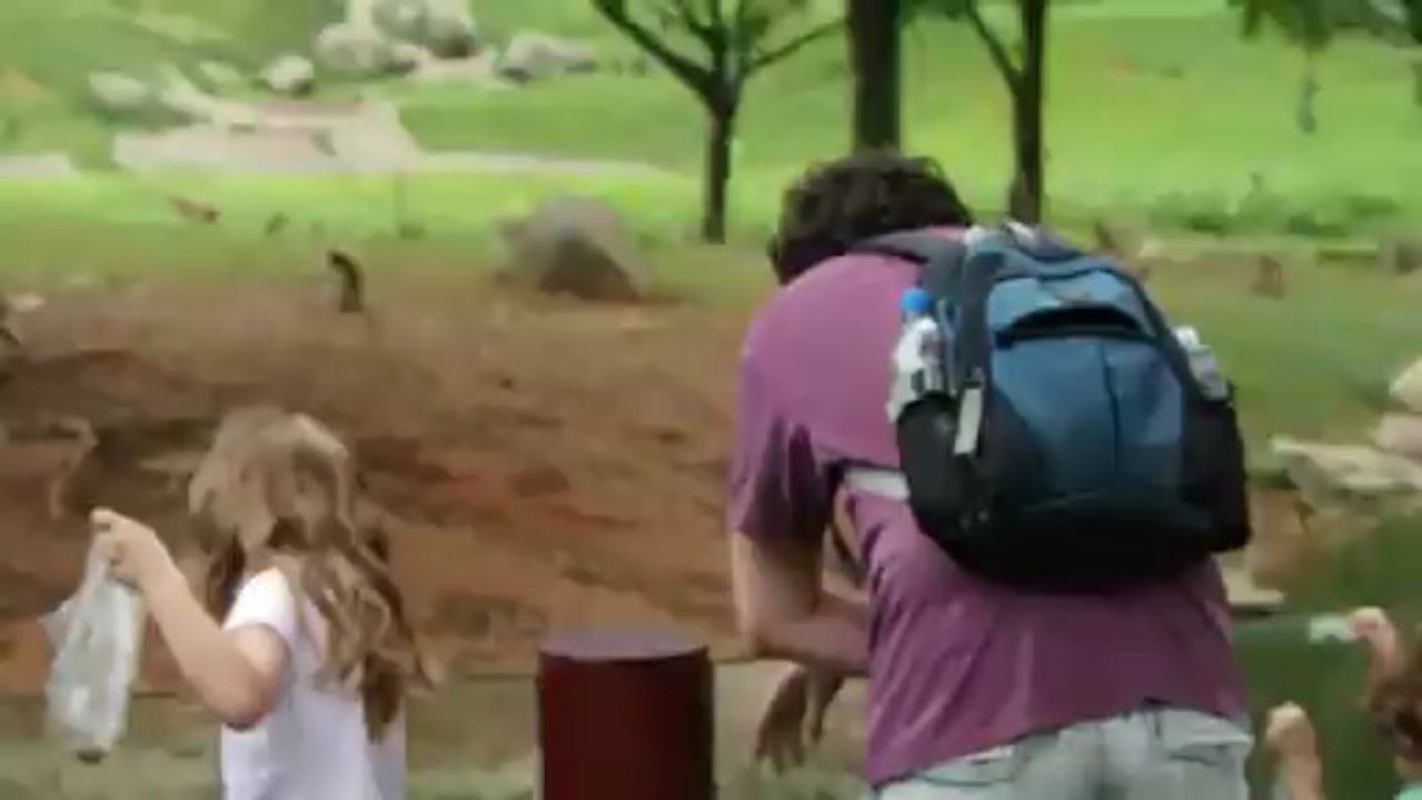 Les singes au safari de Guanghzou