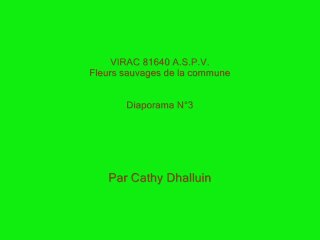 Virac 81640 A.S.P.V. fleurs sauvages diaporama n° 3/2013