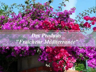 LES VALETS DU LOGIS Entreprise Nettoyage MENTON  CANNES