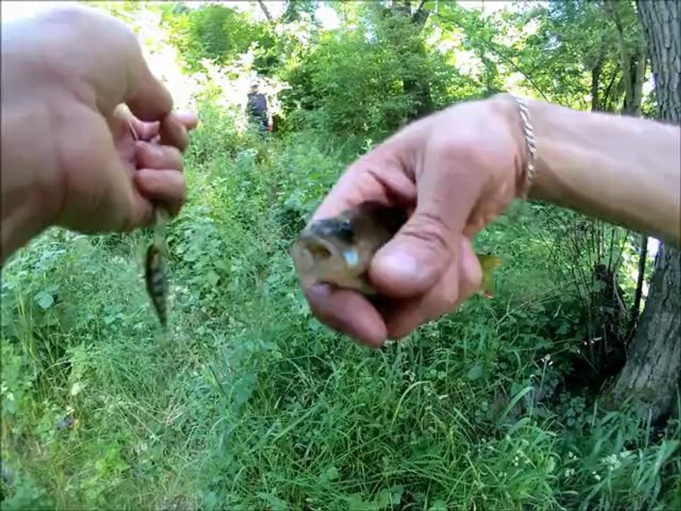 Premier poisson avec ma GoPro