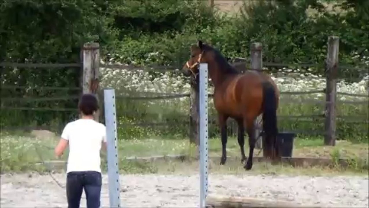 Arabesque de la Barre