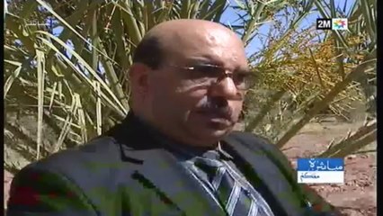 مباشرة معكم: الأربعاء 19 يونيو