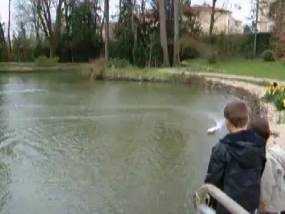 Navigation jardins de la Préfecture.  2011