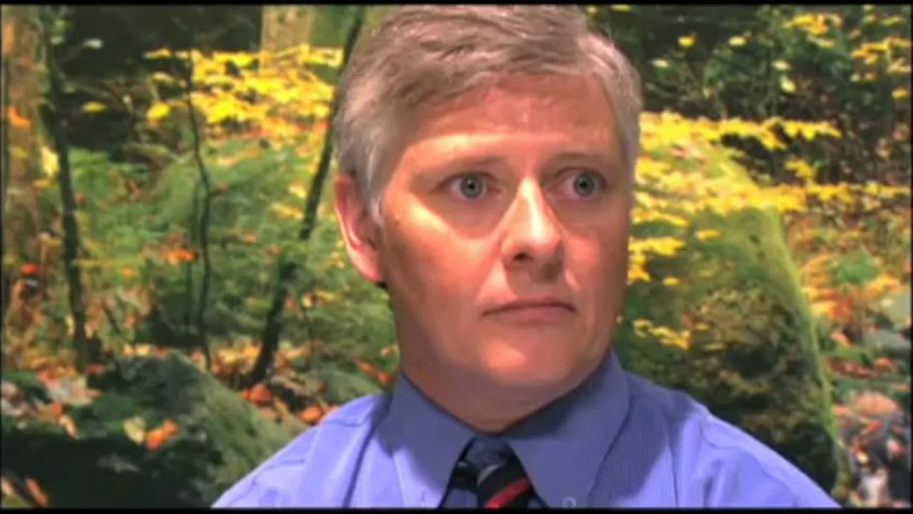 NETHERBEAST INCORPORATED Trailer