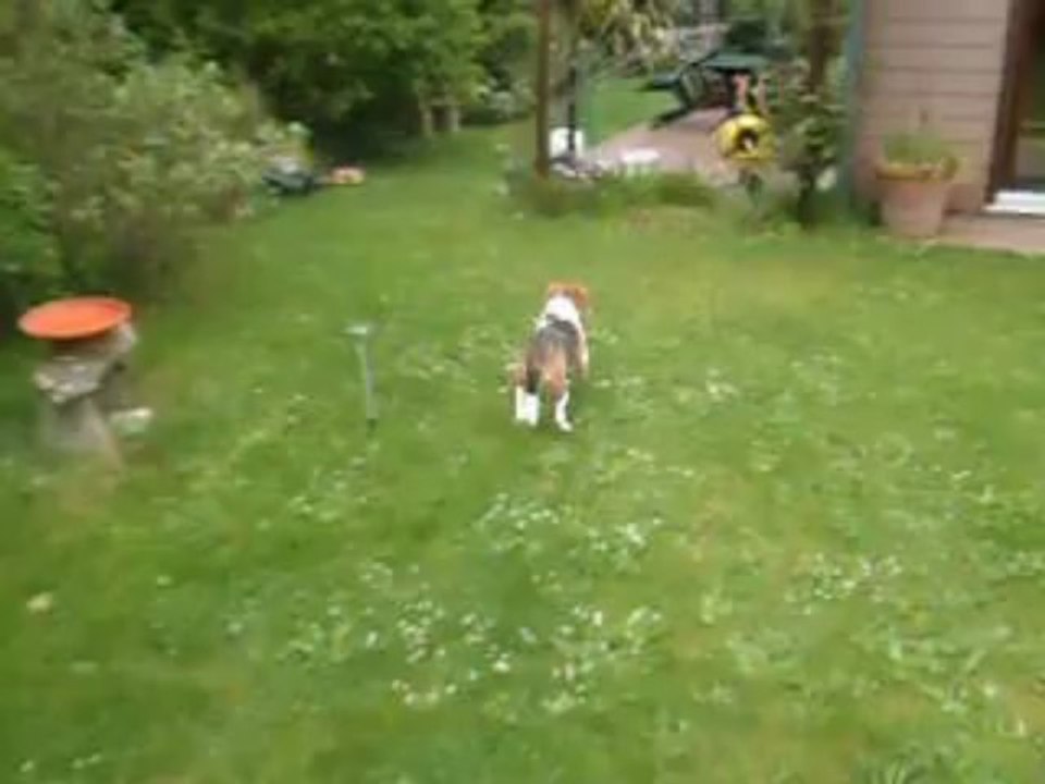 SAM_0422