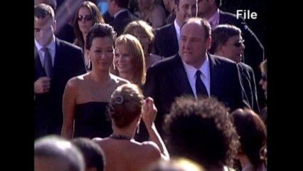 Medics tried to save Sopranos' star Gandolfini after attack