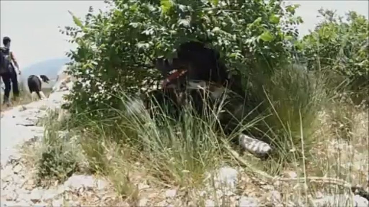 Rando ste victoire 16 juin 2013