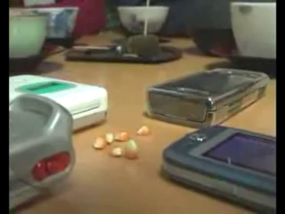 Emf Protection, Electromagnetic Radiation Shielding