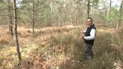 PAYSAGES SOLOGNE Pierre AUCANTE