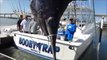 Fishermen catch Texas state record swordfish