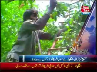 Abbtakk Bulletin 0700 PM - 20 June