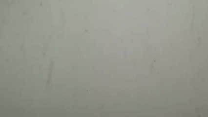 Petite musique d'après-midi d'été