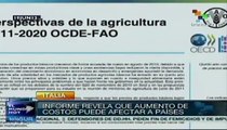 FAO discute estrategias para erradicar el hambre en el mundo