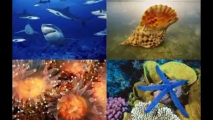 Alex Leon feat Demy & Epsilon-  ' The Sun ' (2013)