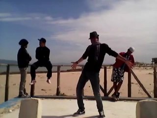 harlem shake version chat slimen