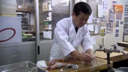 How Do They Do It- Fugu Fish - Taste at Risk