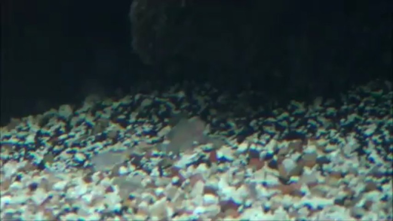 2013-06-20 - Brichardi F0 - F1